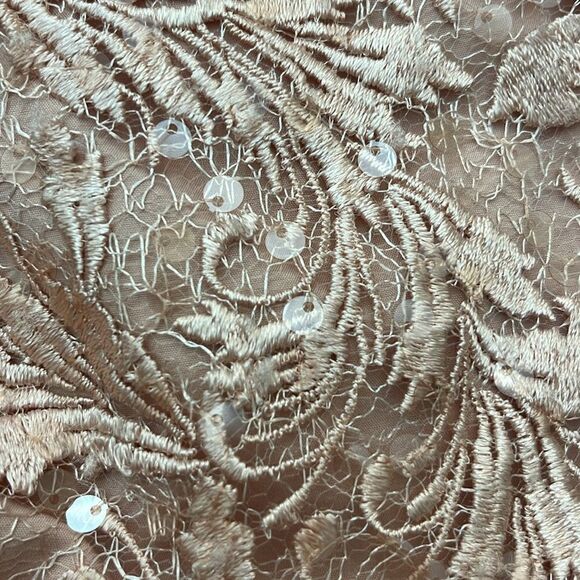 ADRIANNA PAPELL Embroidered Cocktail Dress  Champagne Rose Women size 4 NWT $199 - Picture 7 of 8